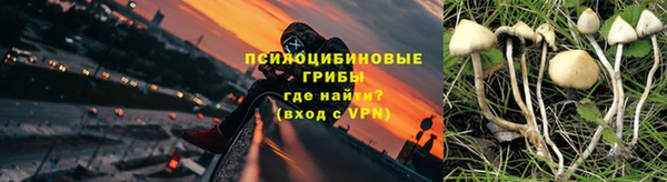 молекула духа Медногорск