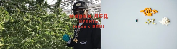 молекула духа Медногорск