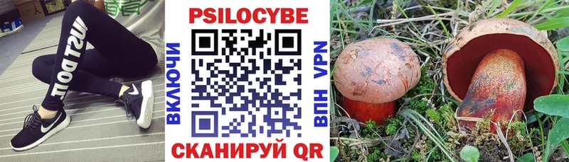 закладка Новотроицк Псилоцибиновые грибы Magic Shrooms