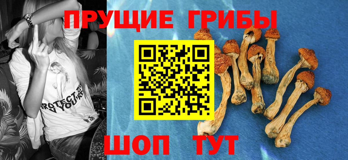 Галлюциногенные грибы мицелий Новотроицк
