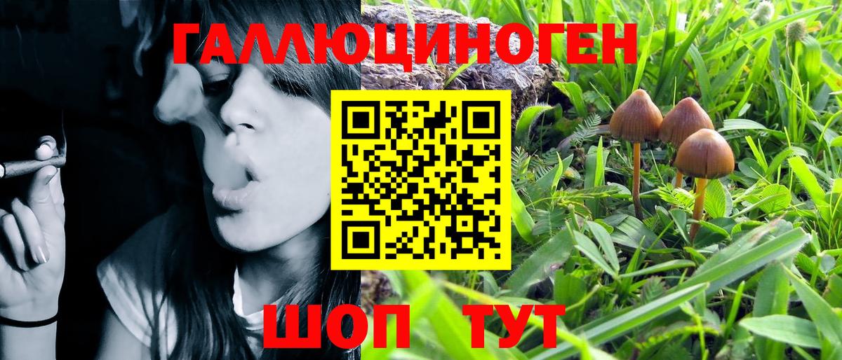 ТГК Новотроицк