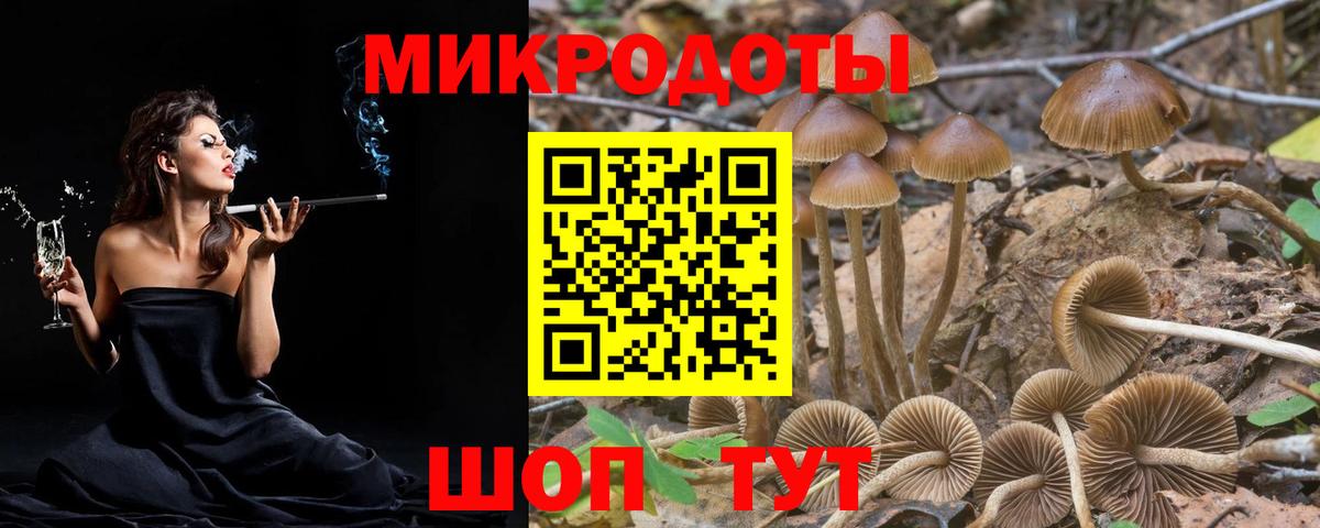 Псилоцибиновые грибы Psilocybe  даркнет сайт  Новотроицк  Вход с VPN 