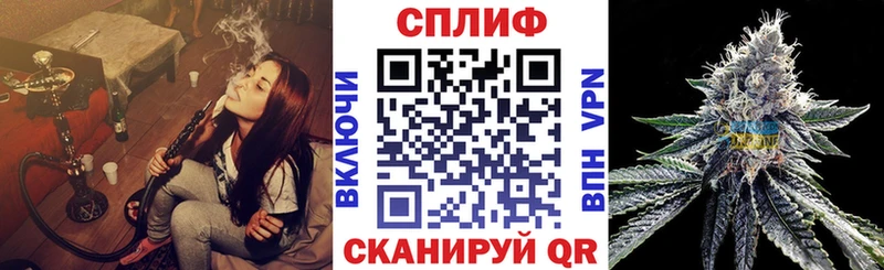 дарнет шоп  Новотроицк  Марихуана конопля 
